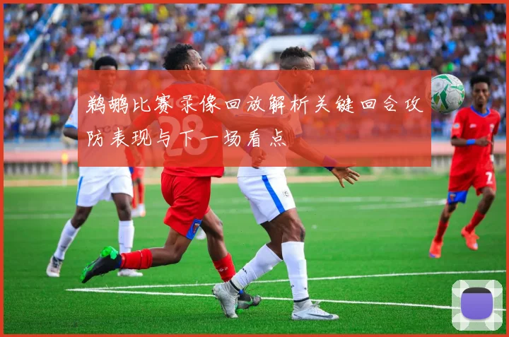 鹈鹕比赛录像回放解析关键回合攻防表现与下一场看点