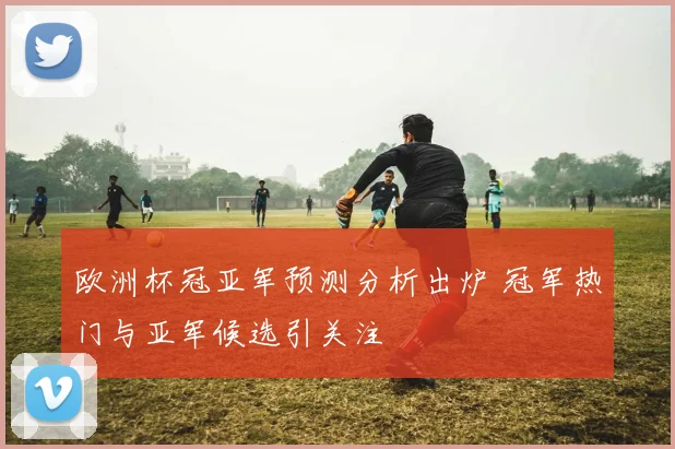 欧洲杯冠亚军预测分析出炉 冠军热门与亚军候选引关注