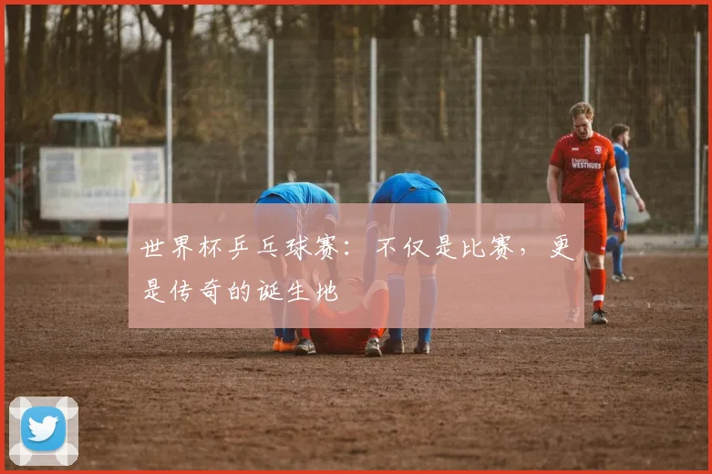 世界杯乒乓球赛：不仅是比赛，更是传奇的诞生地